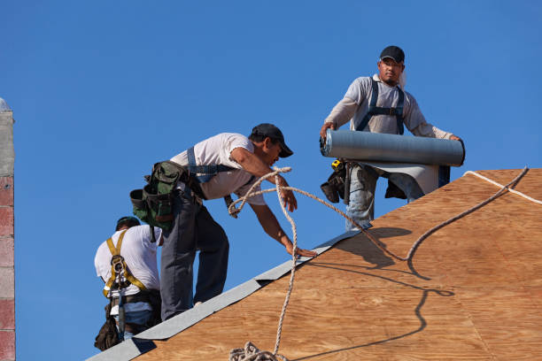 Best Local Roofing Companies  in Coleman, MI