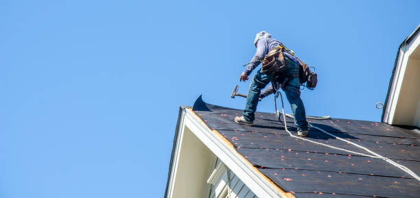 Best Roof Repair Services  in Coleman, MI